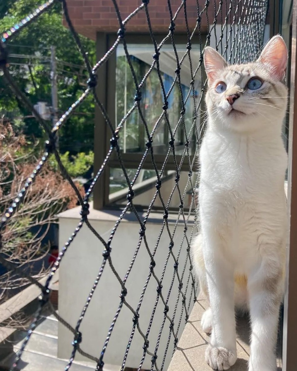 Rede de proteção instalada em janela com criança protegida
